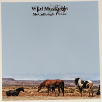 6up Wild Mustangs